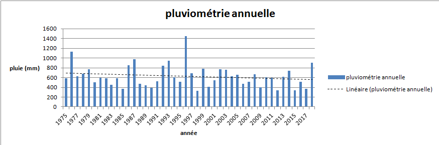 pluie