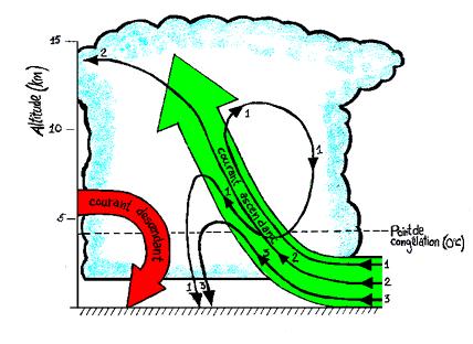 convection